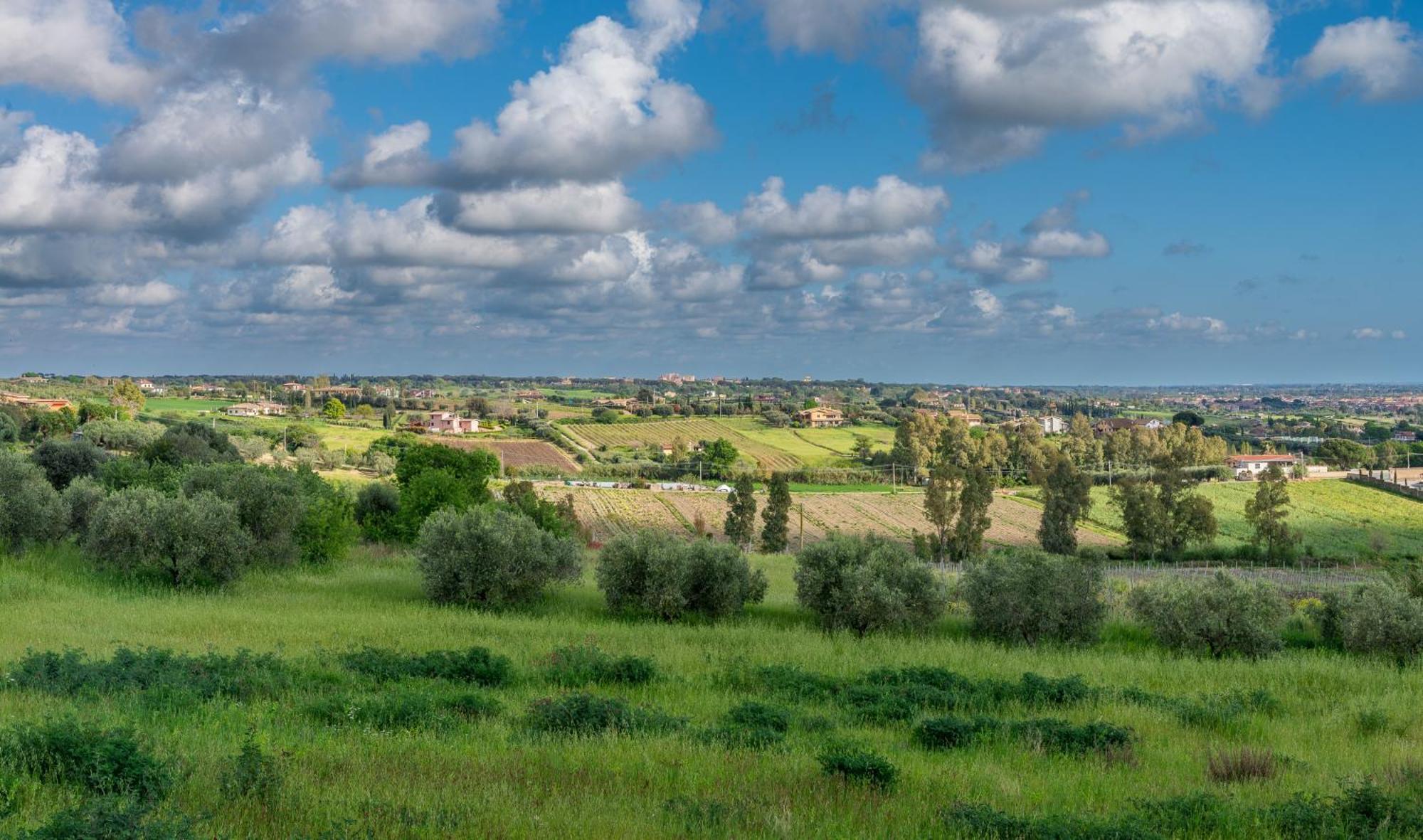 Villa Gli Eucalipti Cerveteri Dış mekan fotoğraf