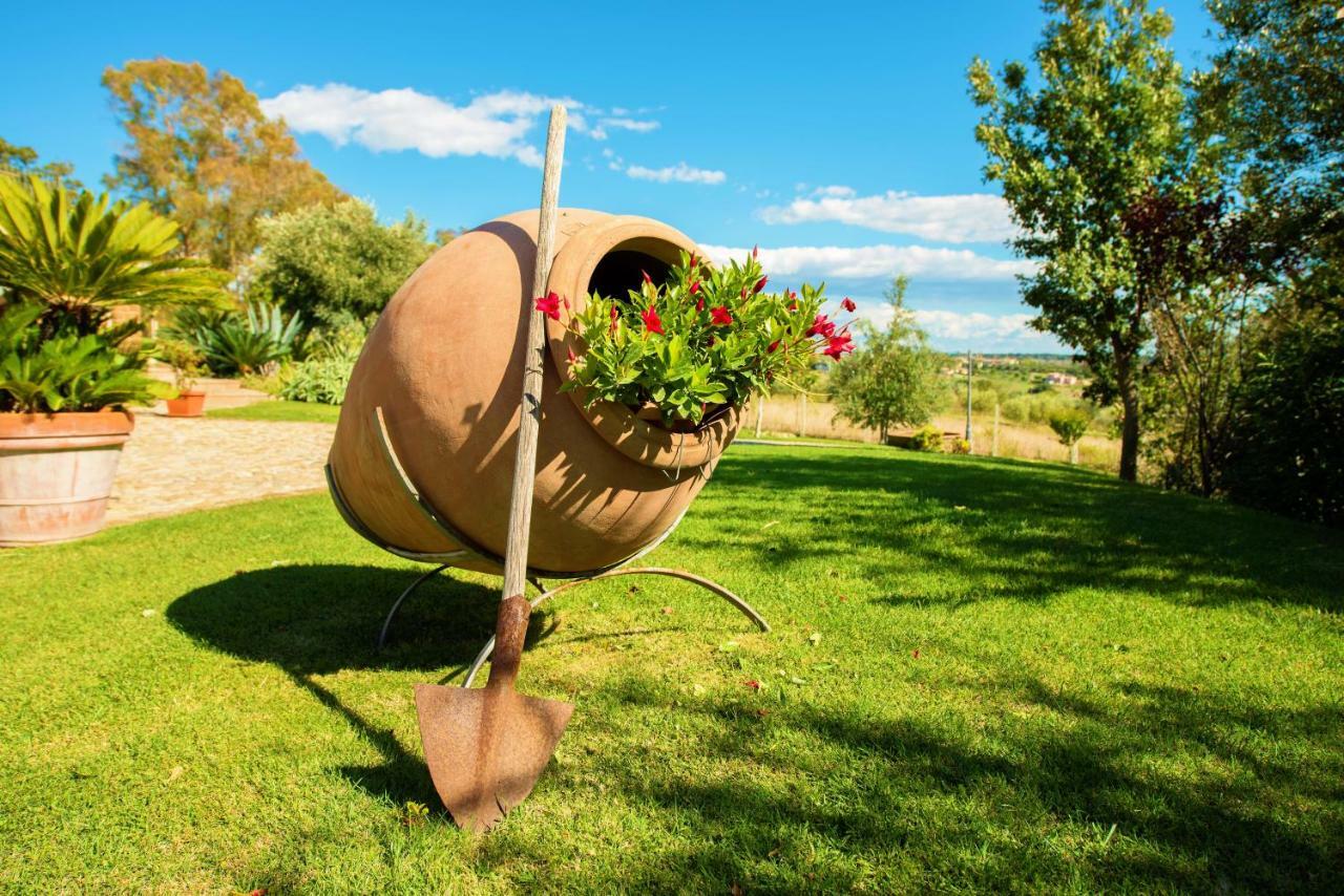 Villa Gli Eucalipti Cerveteri Dış mekan fotoğraf